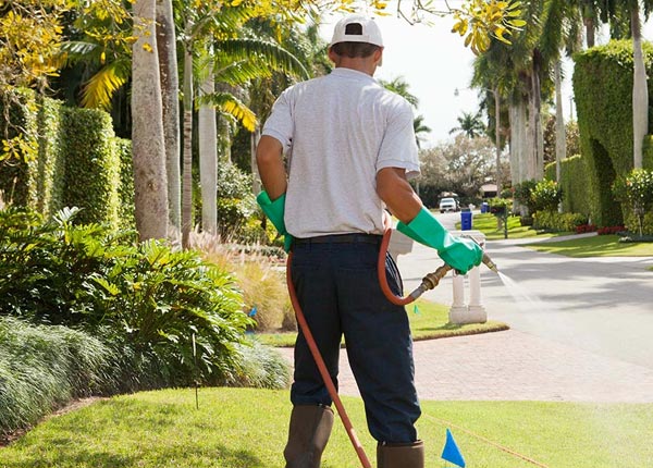 About Wheeler IL Pest Control